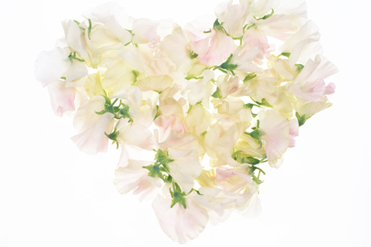 乳がん術後フォローのイメージ画像